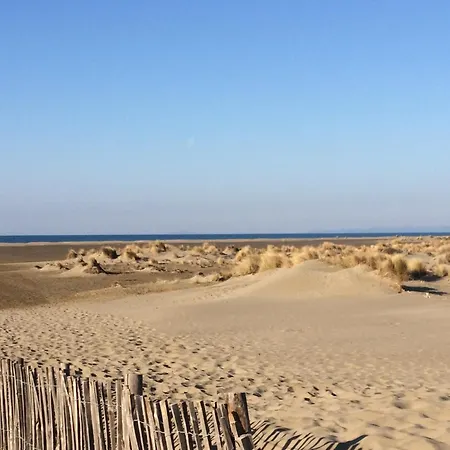 فندق مبيت وإفطار Le Palmier Petite Camargue إج مورت