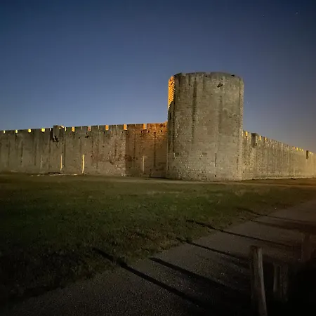 Le Palmier Aigues-Mortes Parking Petite Camargue