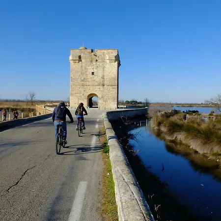 Nocleg ze śniadaniem Le Palmier Aigues-Mortes Parking Petite Camargue