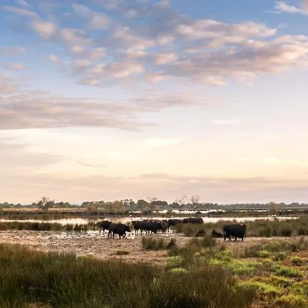Le Palmier Aigues-Mortes Parking Petite Camargue 3* Aigues-Mortes